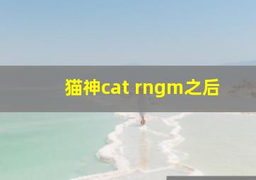 猫神cat rngm之后